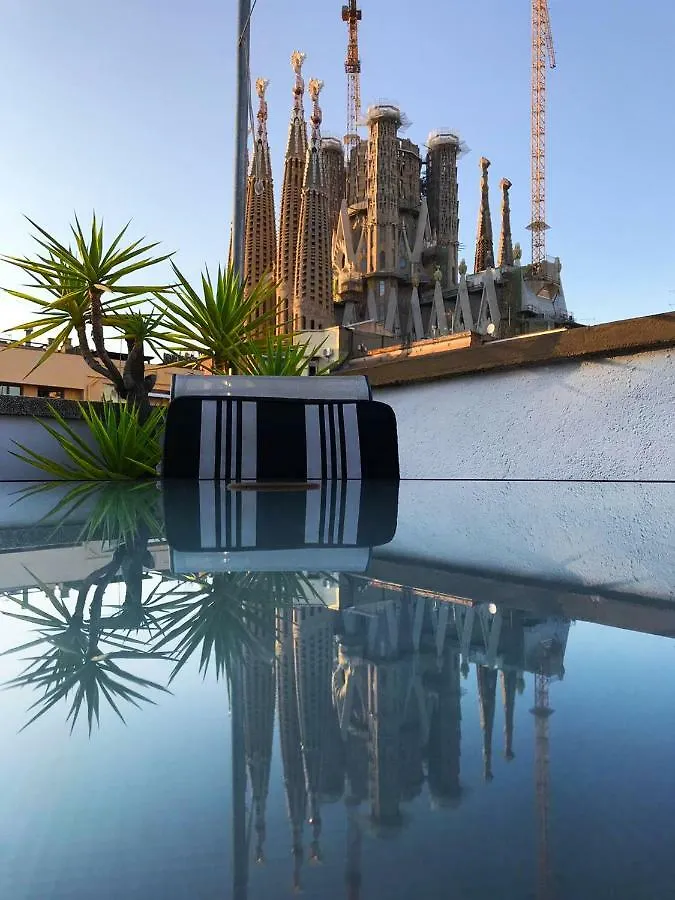 Sunny Home O Barcelona Apartment
